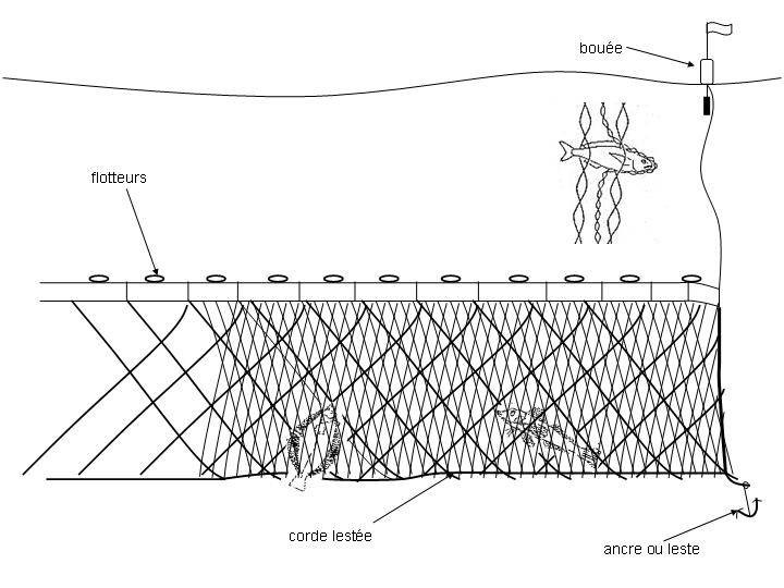 La pêche au filet : Technique de pêche au filet
