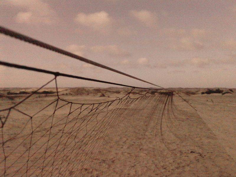 vente pantière palombe gironde