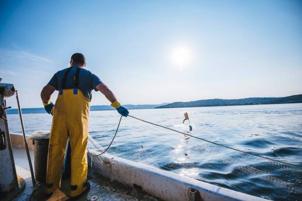 Filet de pêche en mer - France