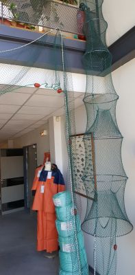 vente matériel anguille charentes maritimes