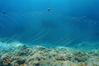 nappes pour filets droits de pêche
